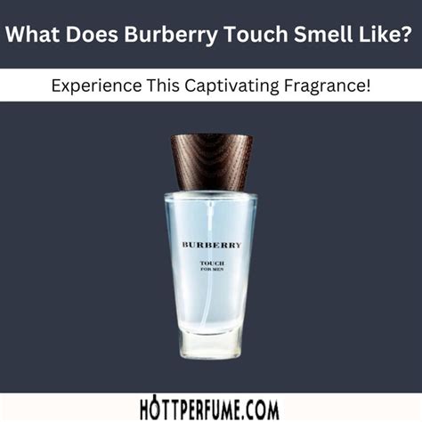 burberry scents success in perfume brand|what does Burberry smell like.